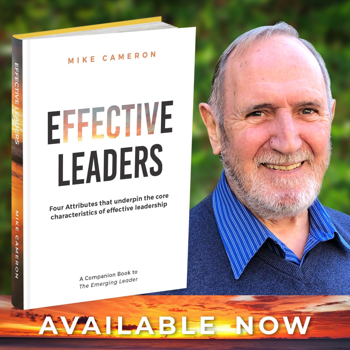 Effective Leaders book by Mike Cameron