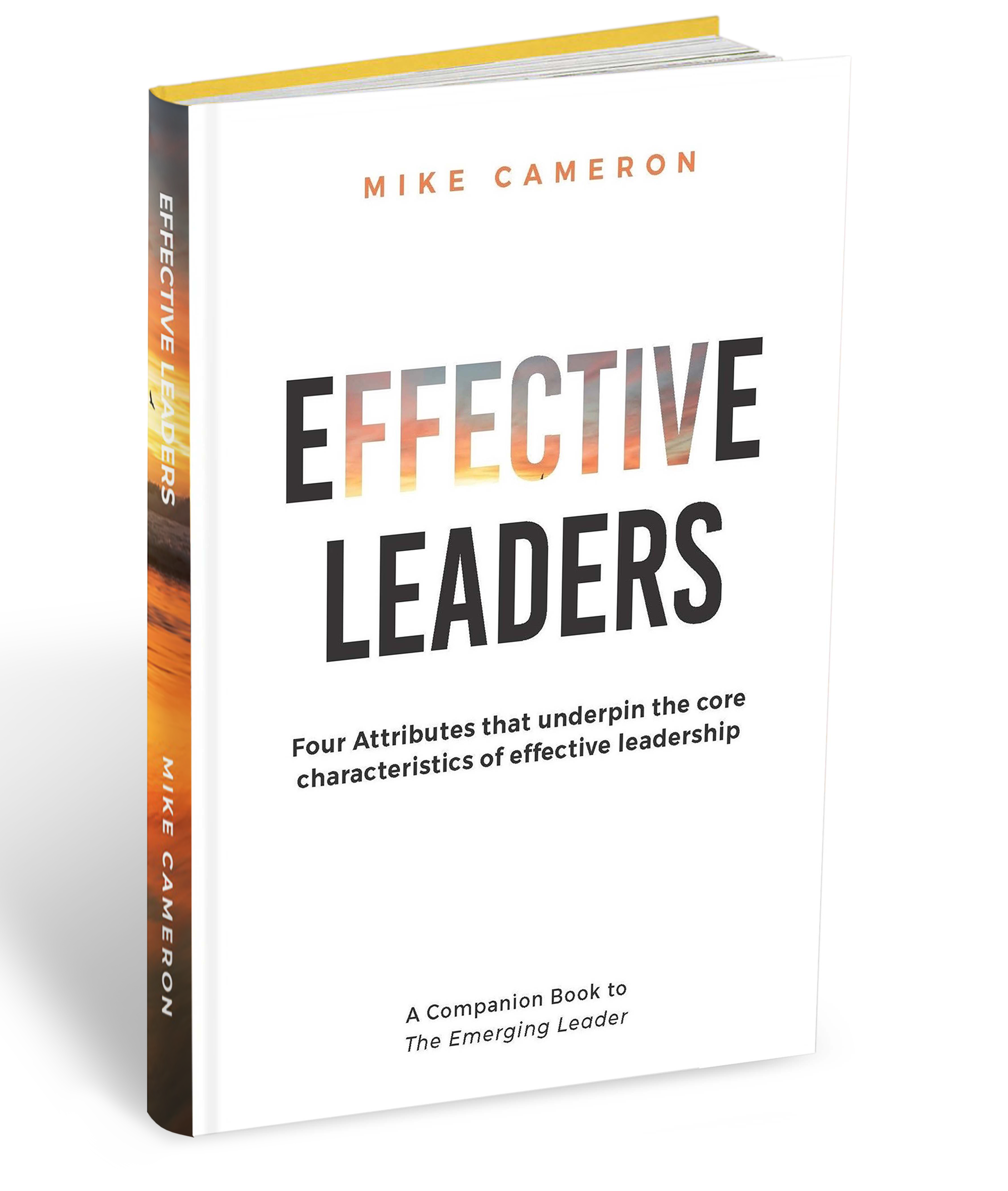 Effective Leaders