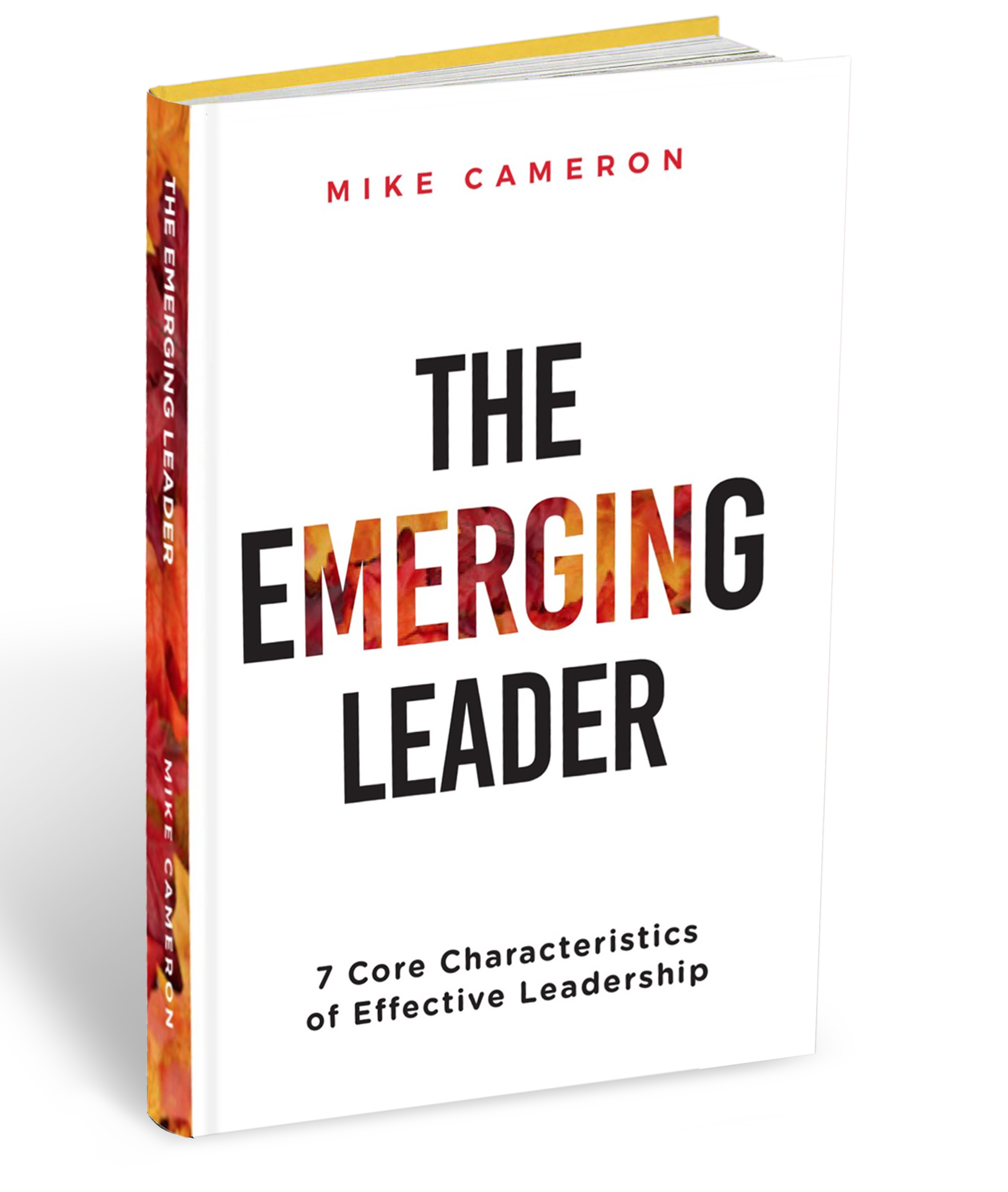 The Emerging Leader book by Mike Cameron