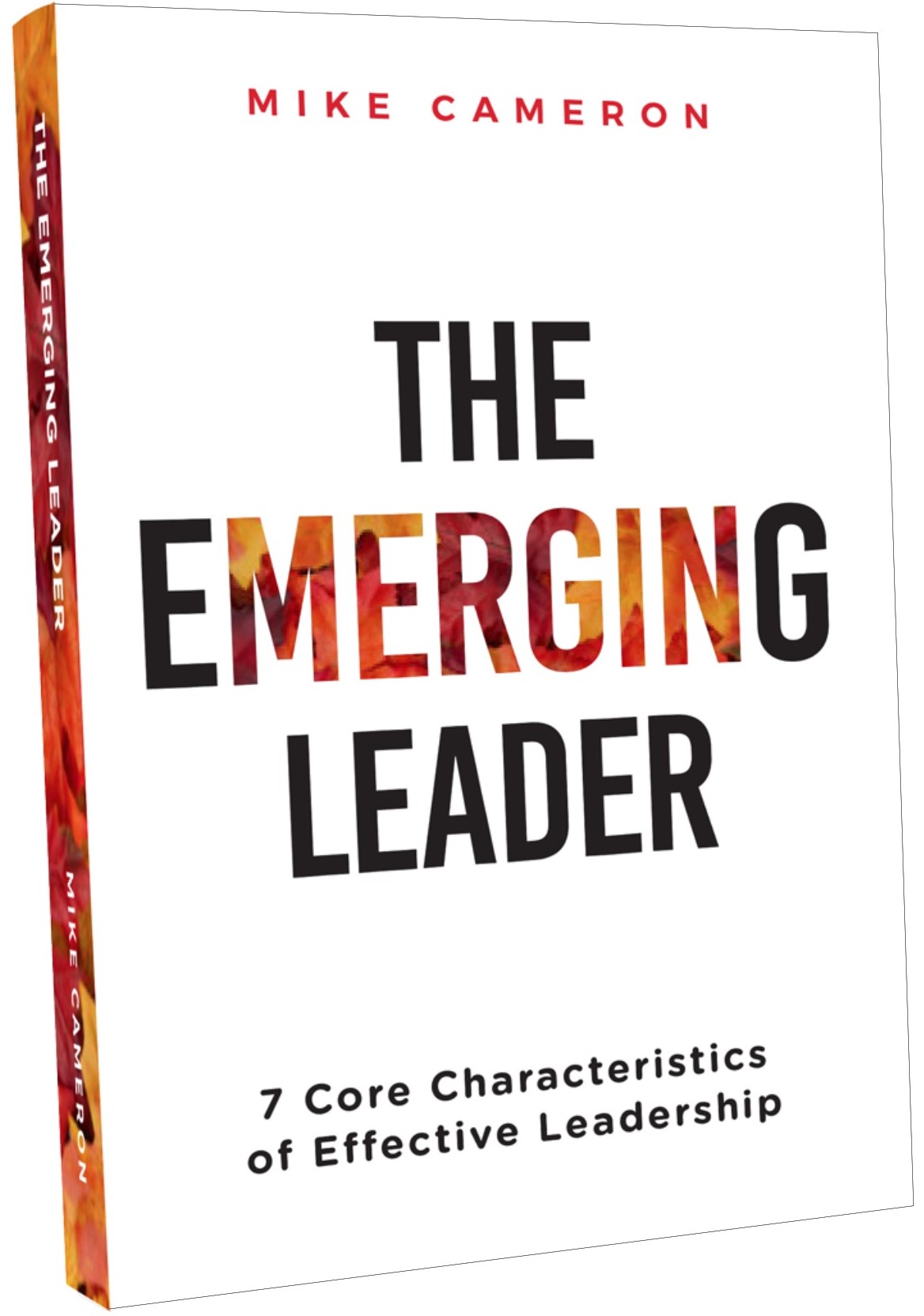 The Emerging LEADER’S Coaching Model
